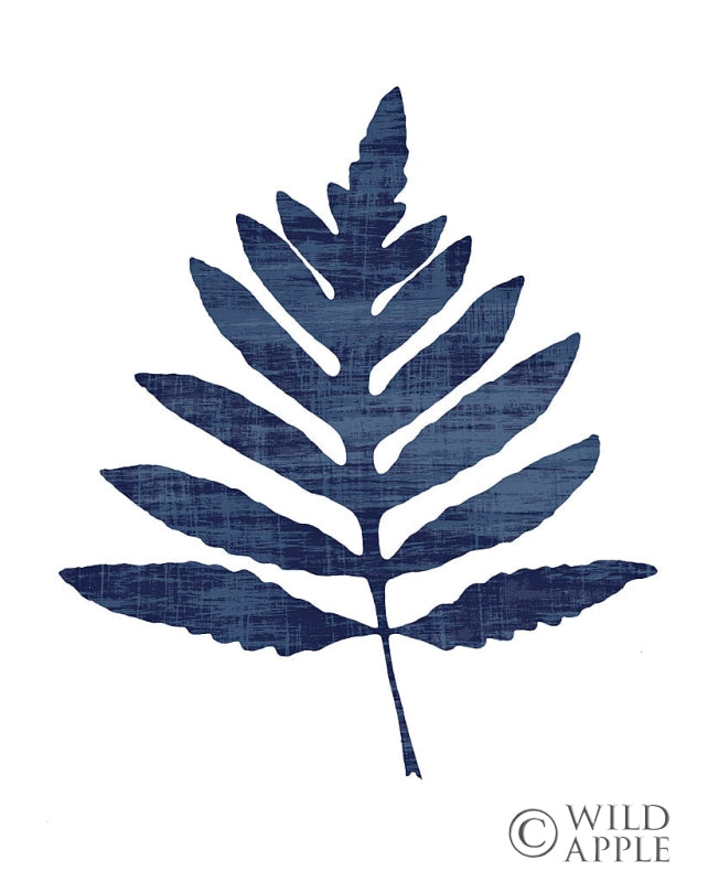 Reproduction of Fern Indigo by Wild Apple Portfolio - Wall Decor Art