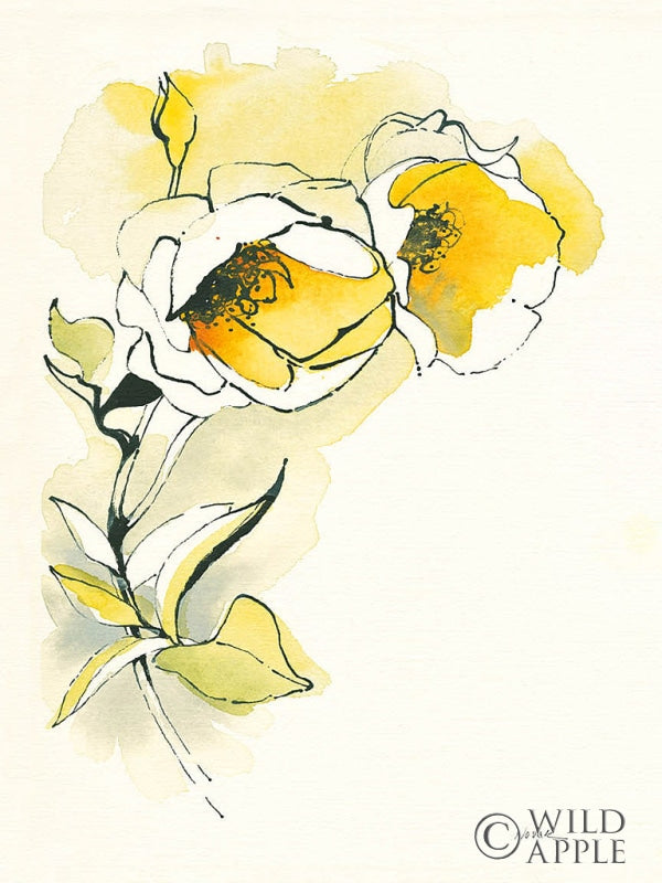 Reproduction of Carols Roses II by Shirley Novak - Wall Decor Art