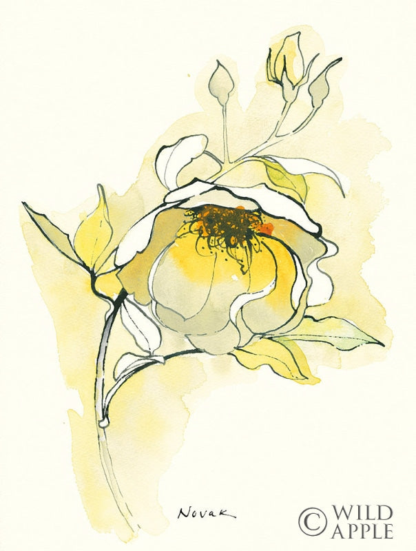 Reproduction of Carols Roses V by Shirley Novak - Wall Decor Art