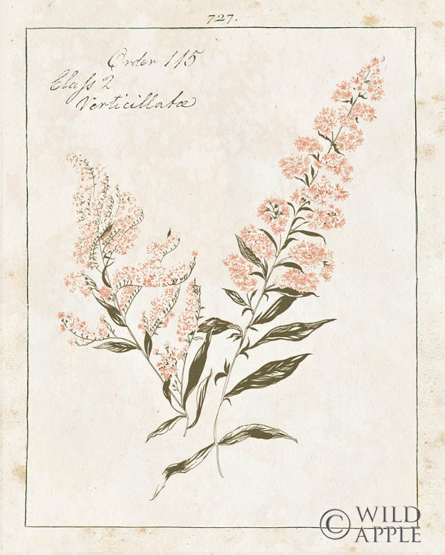 Reproduction of Flowers on White I with Words by Wild Apple Portfolio - Wall Decor Art