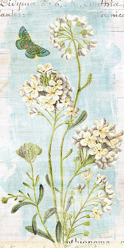 Reproduction of Botany Blue II by Sue Schlabach - Wall Decor Art