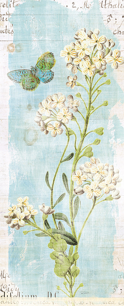 Reproduction of Botany Blue III by Sue Schlabach - Wall Decor Art