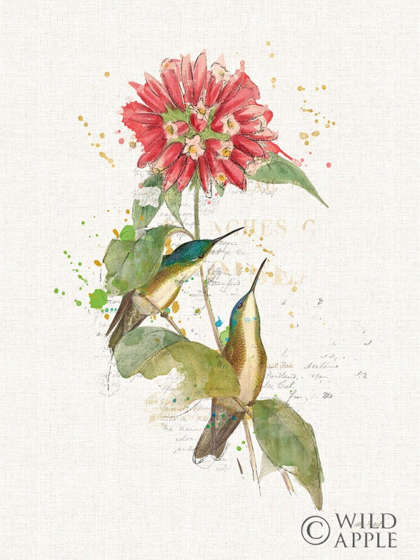 Reproduction of Colorful Hummingbirds I by Katie Pertiet - Wall Decor Art