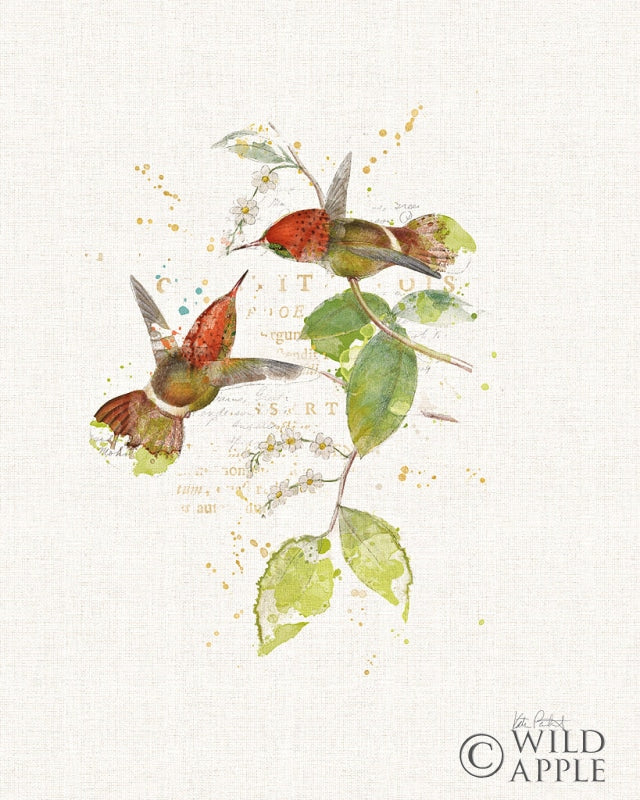 Reproduction of Colorful Hummingbirds II by Katie Pertiet - Wall Decor Art