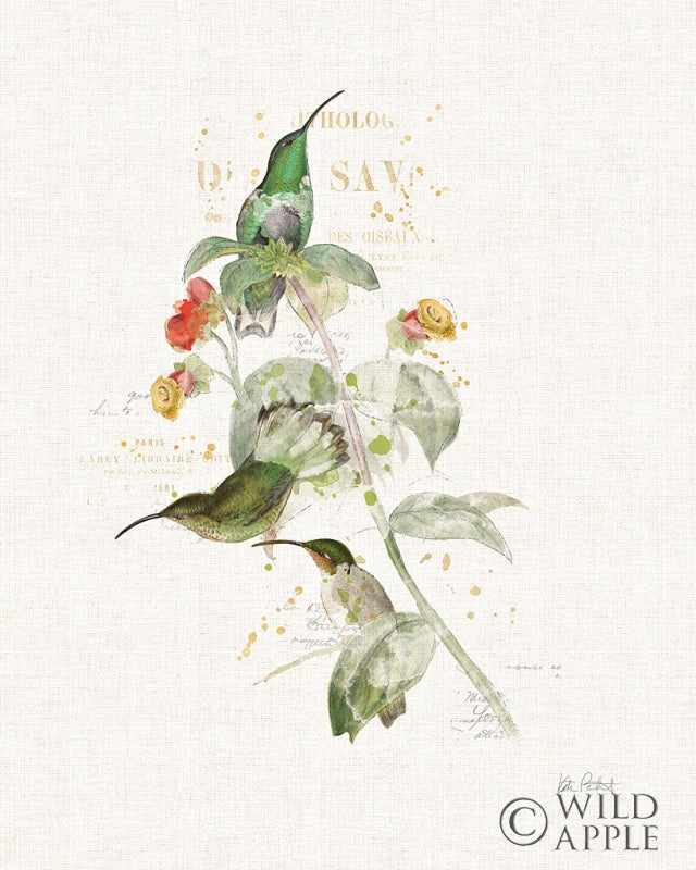 Reproduction of Colorful Hummingbirds III by Katie Pertiet - Wall Decor Art