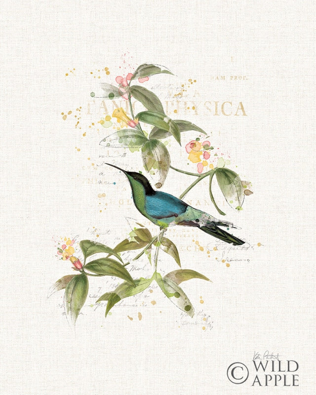 Reproduction of Colorful Hummingbirds IV by Katie Pertiet - Wall Decor Art