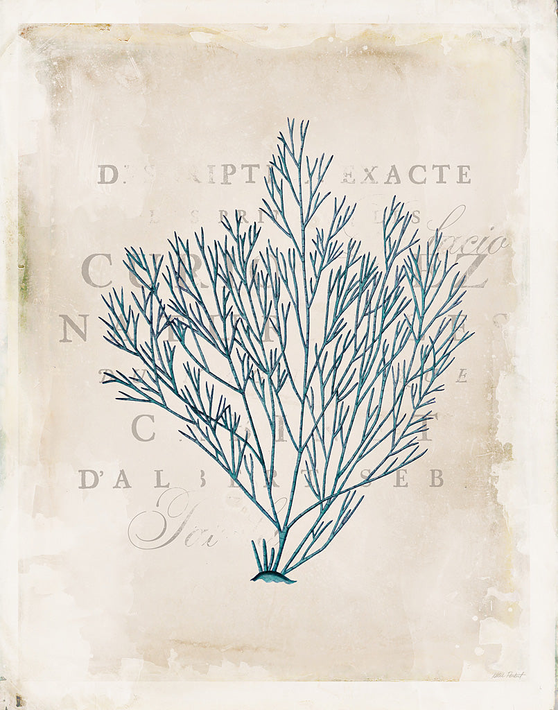 Reproduction of Sea Garden II by Katie Pertiet - Wall Decor Art