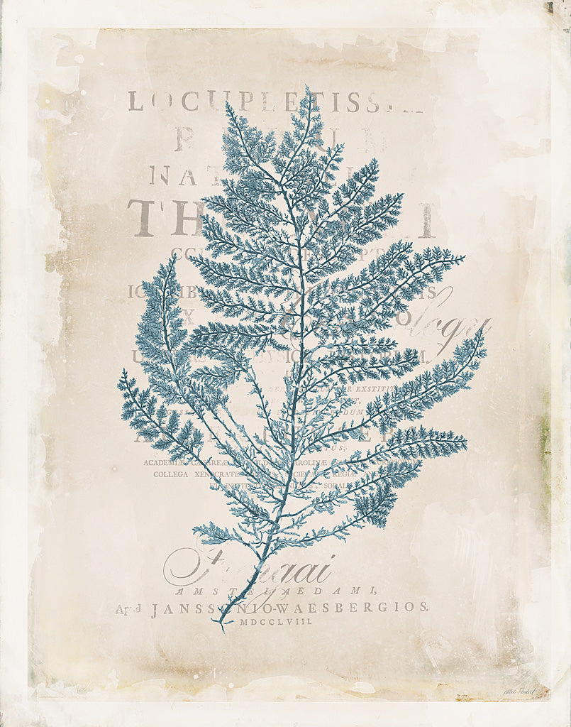 Reproduction of Sea Garden III by Katie Pertiet - Wall Decor Art