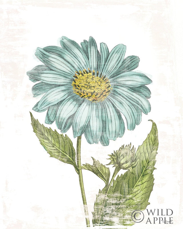 Reproduction of Bloemen Boek II on White by Sue Schlabach - Wall Decor Art