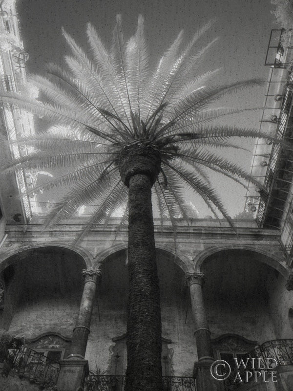 Reproduction of Palermo by Jim Dratfield - Wall Decor Art