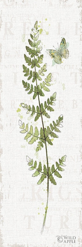 Reproduction of In the Forest VIII by Katie Pertiet - Wall Decor Art