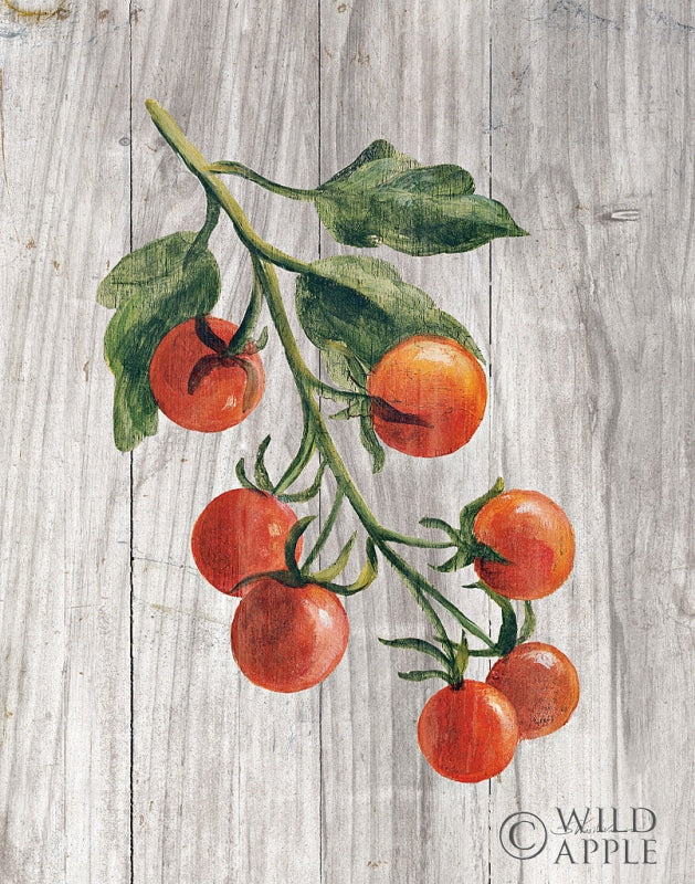 Reproduction of Market Vegetables IV by Silvia Vassileva - Wall Decor Art