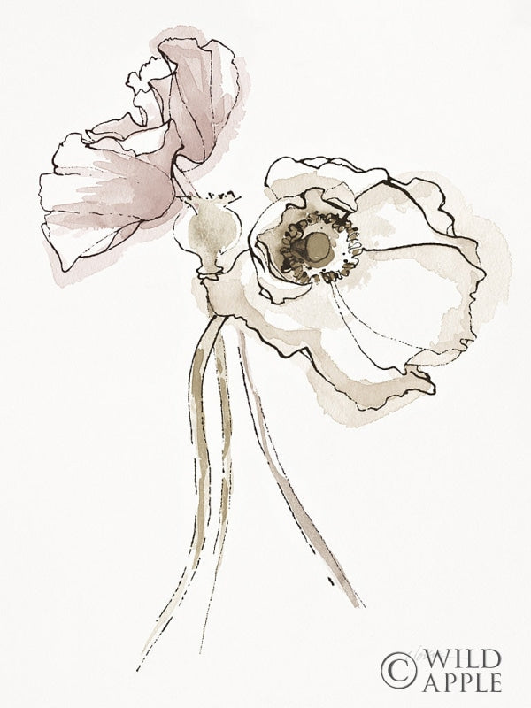 Reproduction of Three Somniferums Poppies Neutral II by Shirley Novak - Wall Decor Art