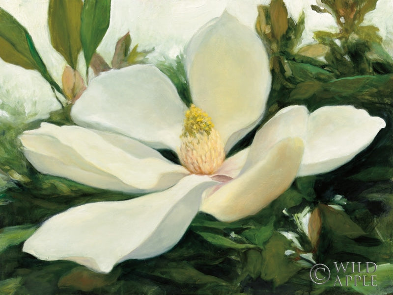 Reproduction of Majestic Magnolia by Julia Purinton - Wall Decor Art