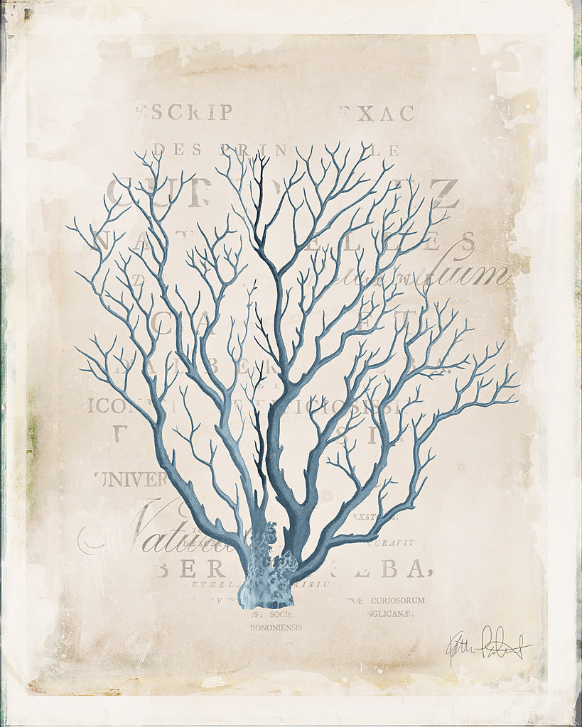 Reproduction of Sea Garden V by Katie Pertiet - Wall Decor Art