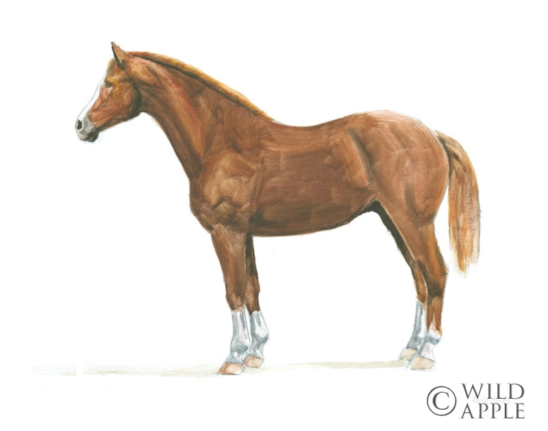 Reproduction of Natural Charm II by Emily Adams - Wall Decor Art