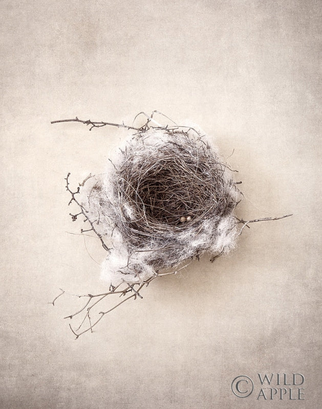 Reproduction of Nest III by Debra Van Swearingen - Wall Decor Art