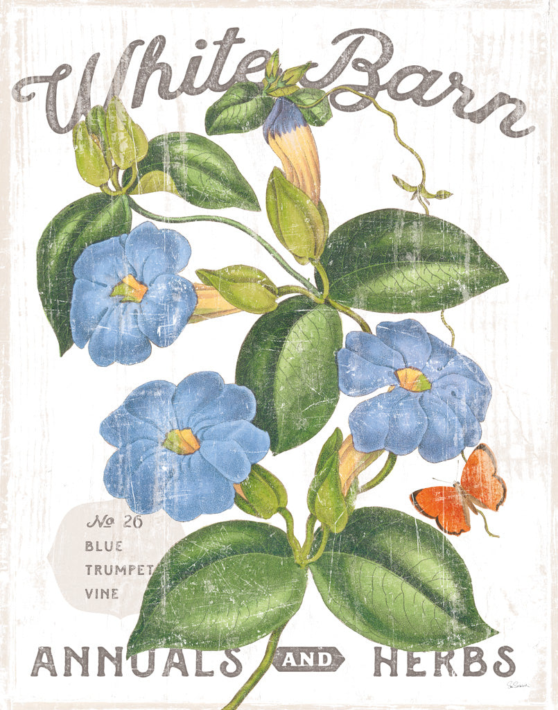 Reproduction of White Barn Flowers II by Sue Schlabach - Wall Decor Art