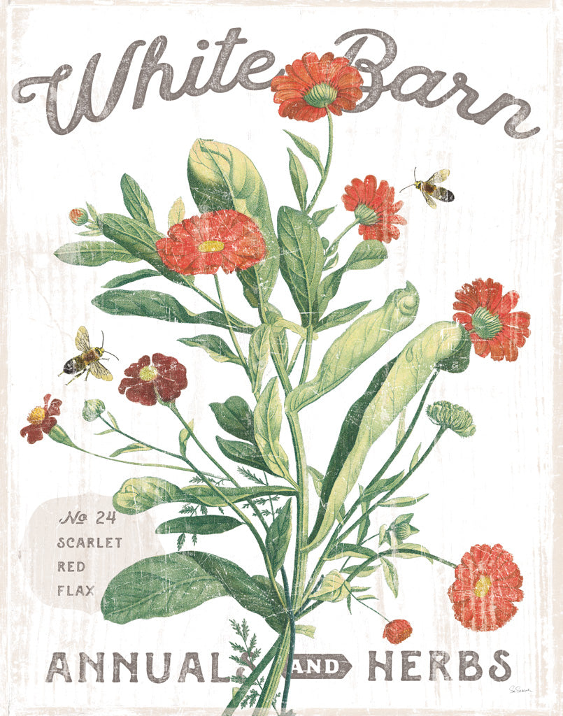 Reproduction of White Barn Flowers IV by Sue Schlabach - Wall Decor Art