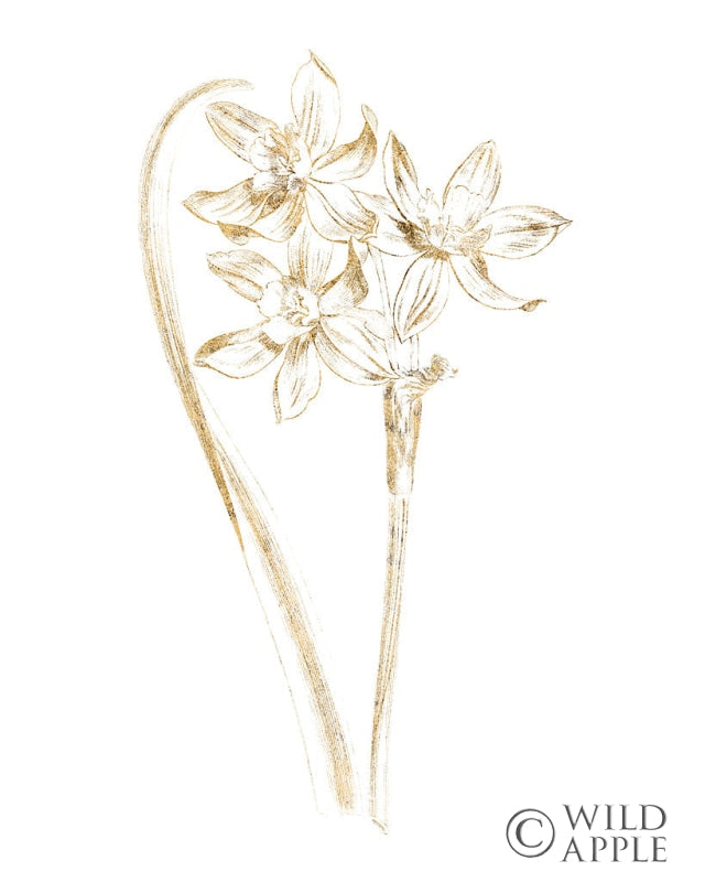 Reproduction of Gilded Botanical IV by Wild Apple Portfolio - Wall Decor Art