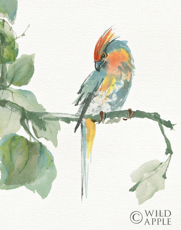 Reproduction of Crested Cockatoo v2 by Chris Paschke - Wall Decor Art