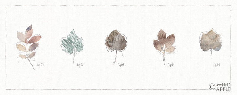 Reproduction of A Woodland Walk XIV by Lisa Audit - Wall Decor Art