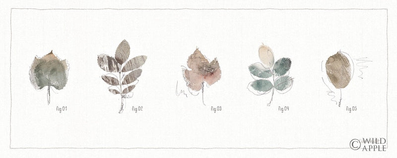 Reproduction of A Woodland Walk XV by Lisa Audit - Wall Decor Art