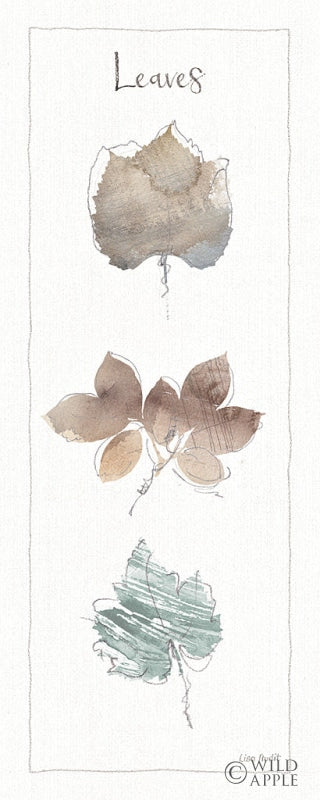 Reproduction of A Woodland Walk XVI by Lisa Audit - Wall Decor Art