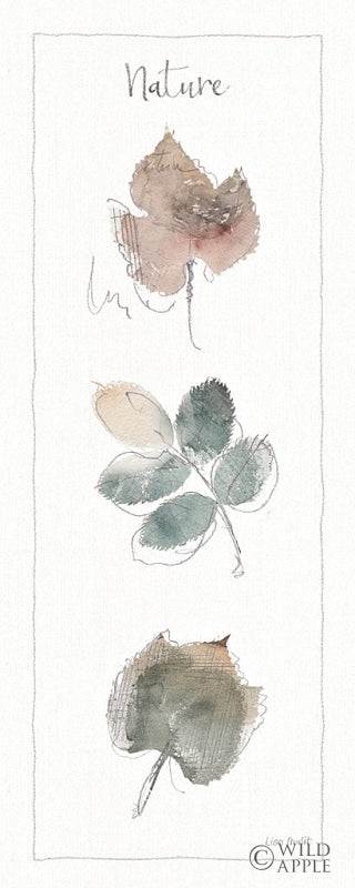 Reproduction of A Woodland Walk XVII by Lisa Audit - Wall Decor Art