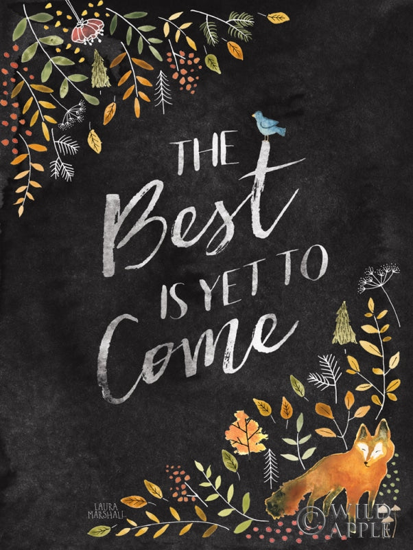 Reproduction of Woodland Whimsy V Black by Laura Marshall - Wall Decor Art