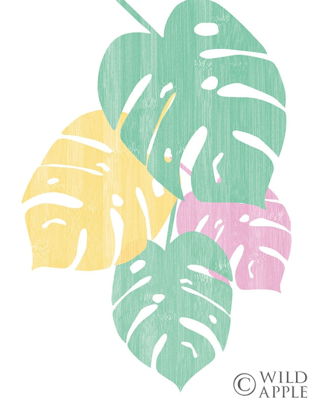 Reproduction of Monstera IV Bright on White by Sarah Adams - Wall Decor Art