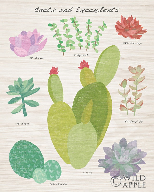 Reproduction of Succulent and Cacti Chart III on Wood by Wild Apple Portfolio - Wall Decor Art