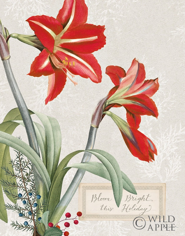 Reproduction of Joyful Tidings I by Sue Schlabach - Wall Decor Art