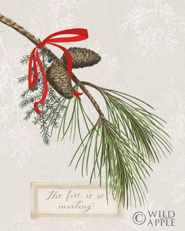 Reproduction of Joyful Tidings III by Sue Schlabach - Wall Decor Art