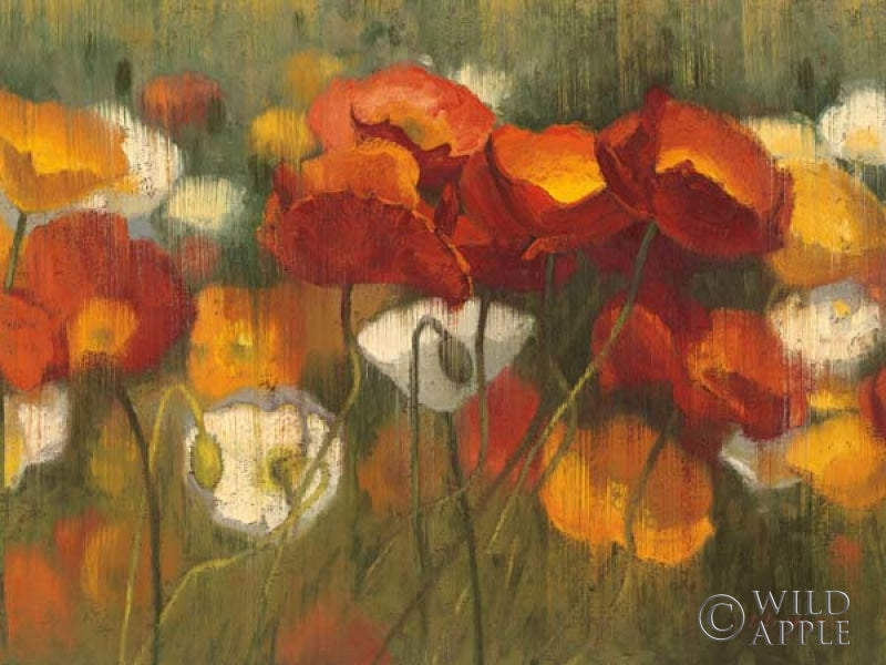 Reproduction of The Power of Red II by Shirley Novak - Wall Decor Art