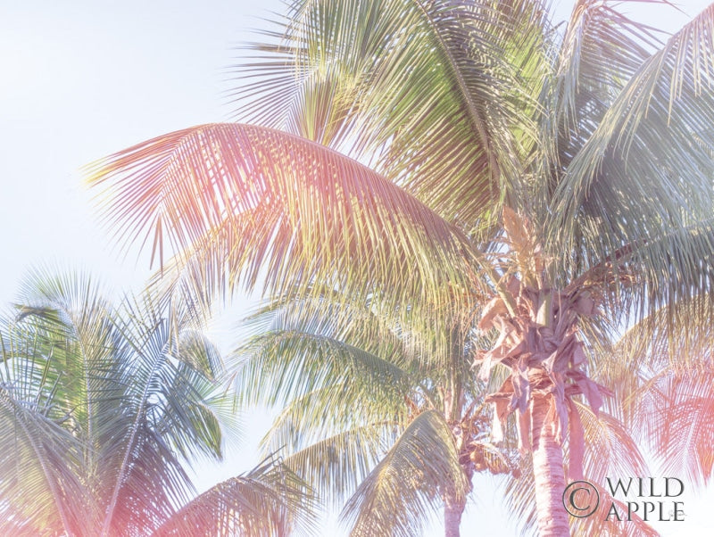 Reproduction of Dream Palm I by Sue Schlabach - Wall Decor Art