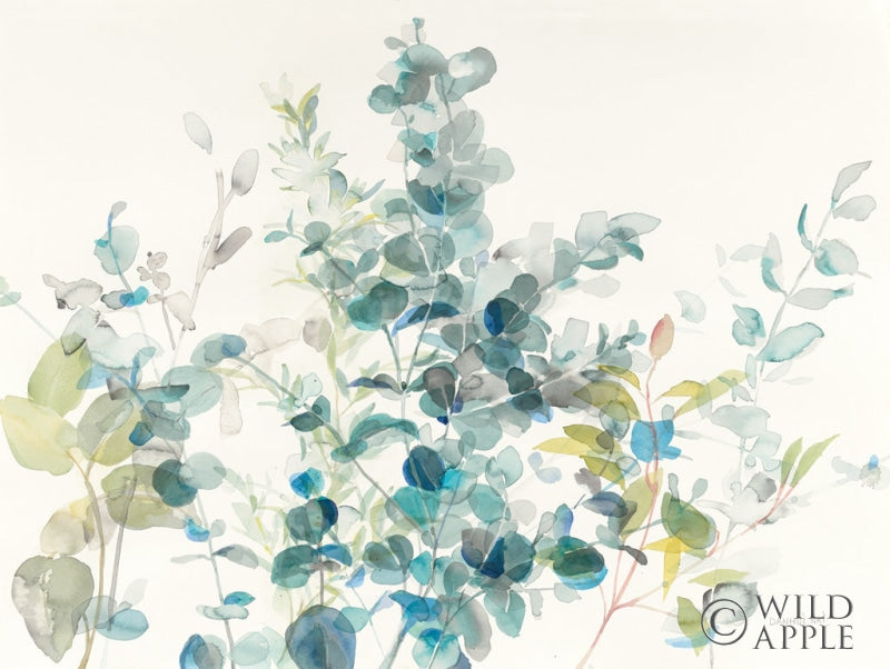 Reproduction of Eucalyptus I by Danhui Nai - Wall Decor Art