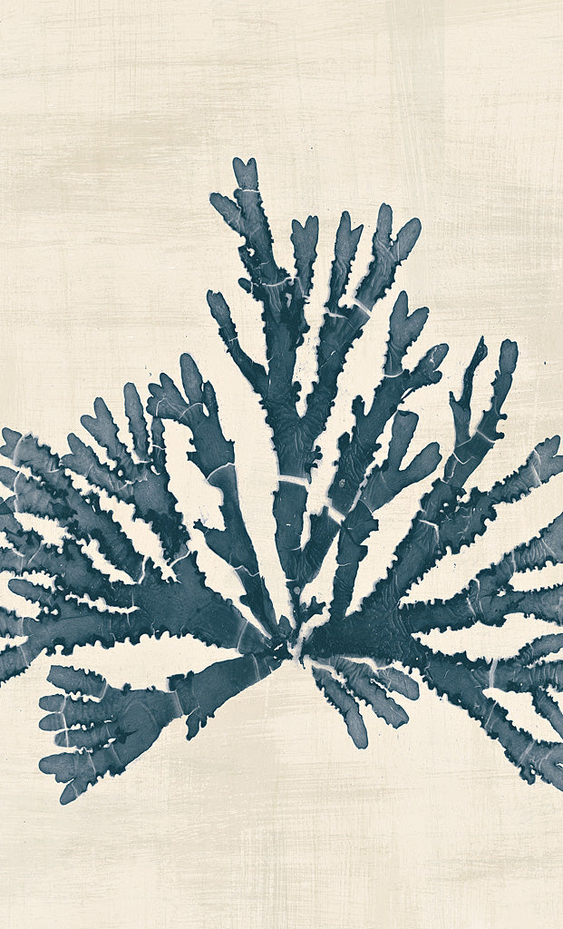 Reproduction of Pacific Sea Mosses IV No Map Crop by Wild Apple Portfolio - Wall Decor Art