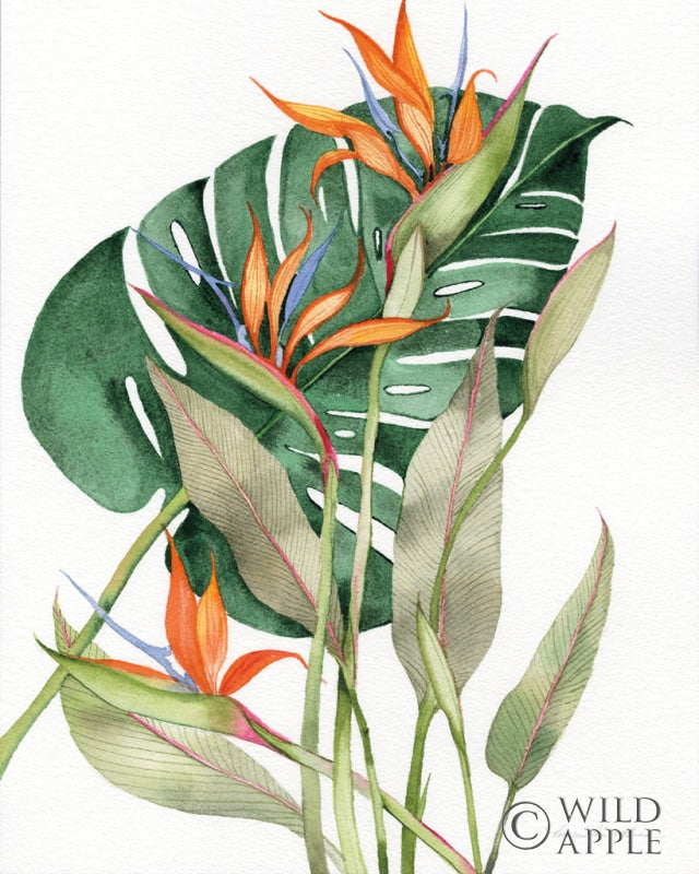 Reproduction of Botanical Birds of Paradise Crop by Kathleen Parr McKenna - Wall Decor Art
