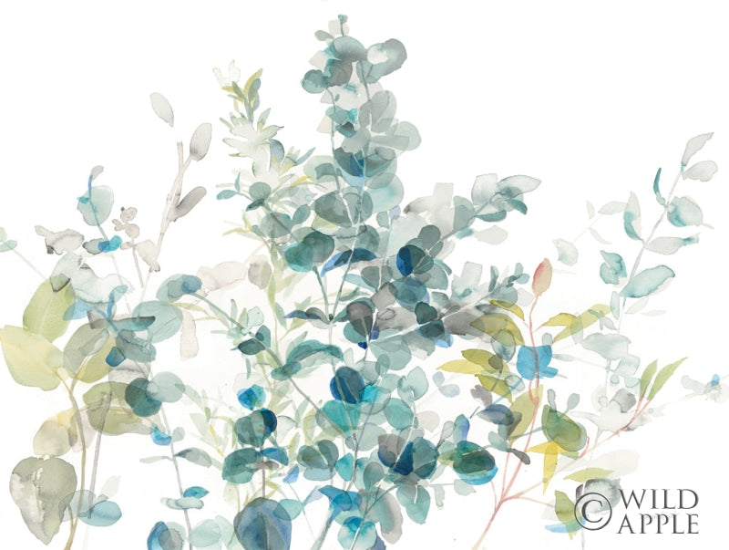 Reproduction of Eucalyptus I White by Danhui Nai - Wall Decor Art