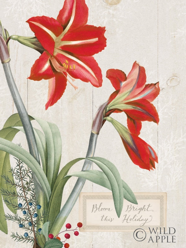 Reproduction of Joyful Tidings I on Wood by Sue Schlabach - Wall Decor Art