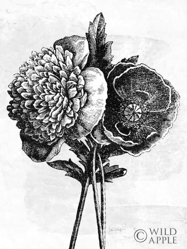 Reproduction of Spa Botanical III BW Crop by Katie Pertiet - Wall Decor Art