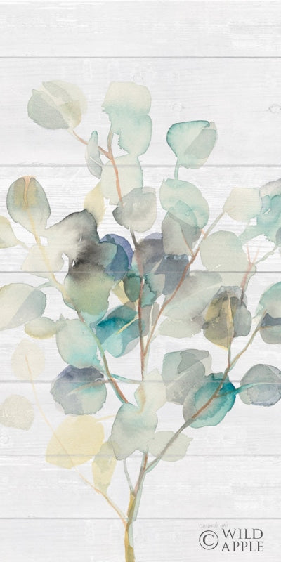 Reproduction of Eucalyptus III on Shiplap Crop by Danhui Nai - Wall Decor Art