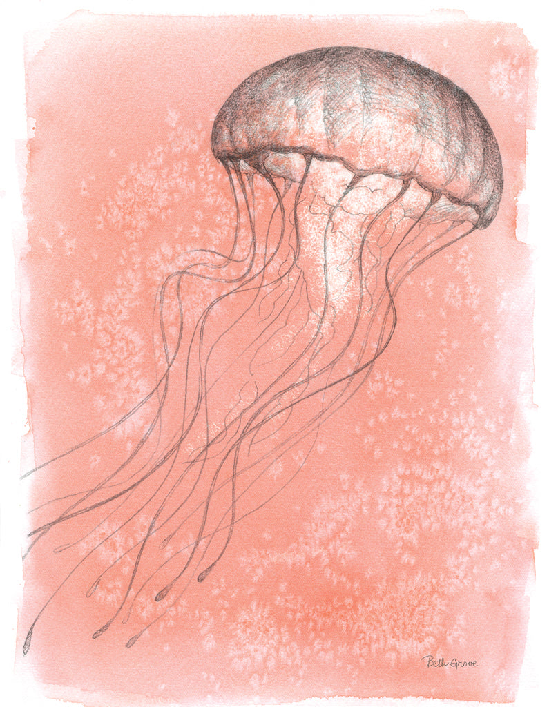 Reproduction of Coastal Sea Life IV Crop by Beth Grove - Wall Decor Art