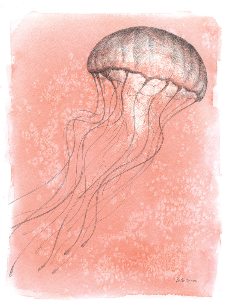 Reproduction of Coastal Sea Life IV by Beth Grove - Wall Decor Art