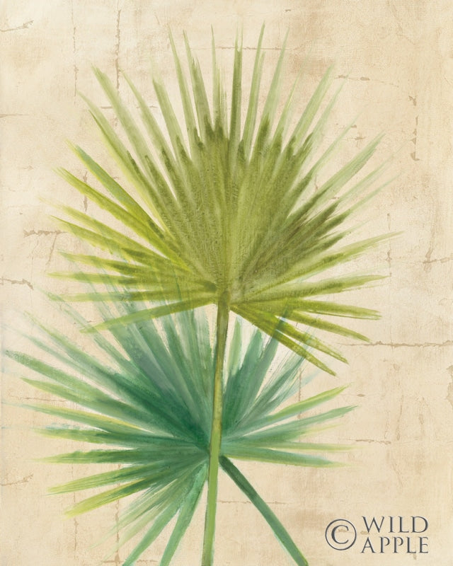 Reproduction of Fan Palm by Albena Hristova - Wall Decor Art