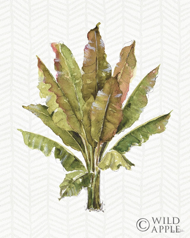 Reproduction of Mixed Greens IX by Lisa Audit - Wall Decor Art