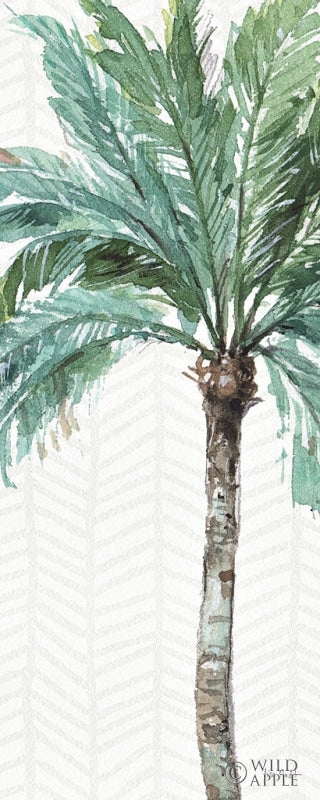 Reproduction of Mixed Greens XII by Lisa Audit - Wall Decor Art