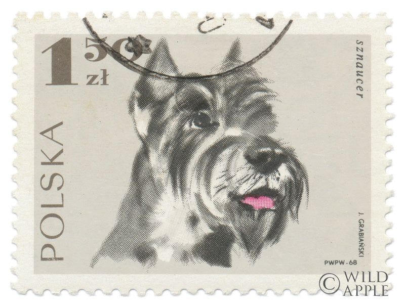 Reproduction of Poland Stamp I on White by Wild Apple Portfolio - Wall Decor Art