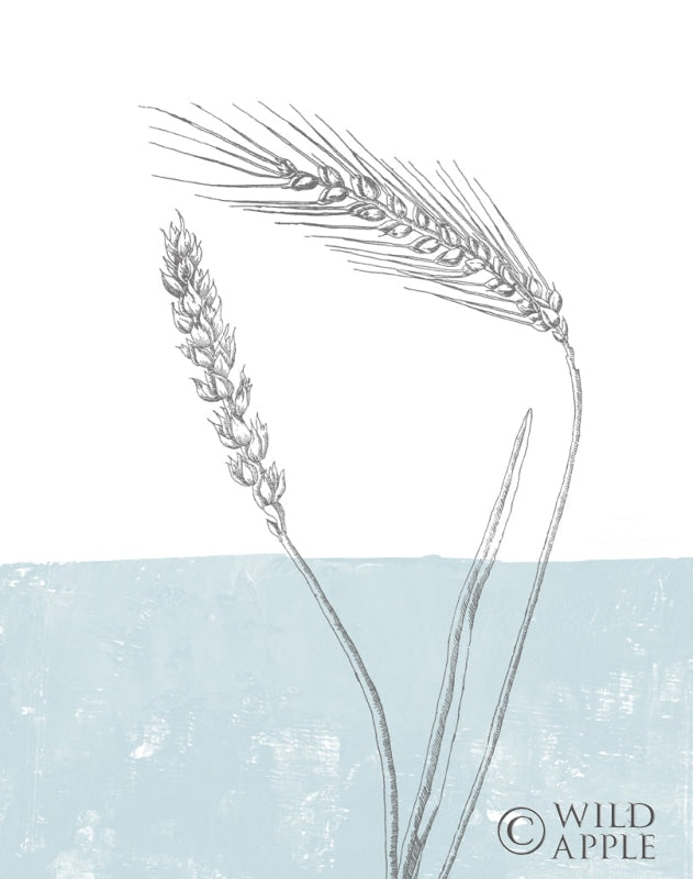 Reproduction of Wheat by Sarah Adams - Wall Decor Art